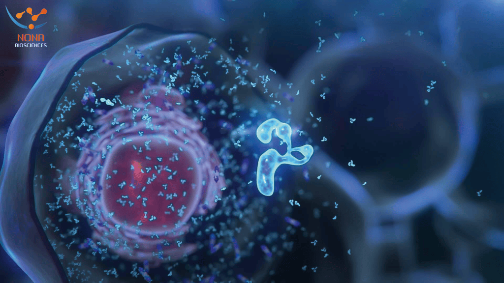 AI-driven Hu-mAtrIx™ platform by Nona Biosciences accelerating antibody discovery with Harbour Mice® technology.